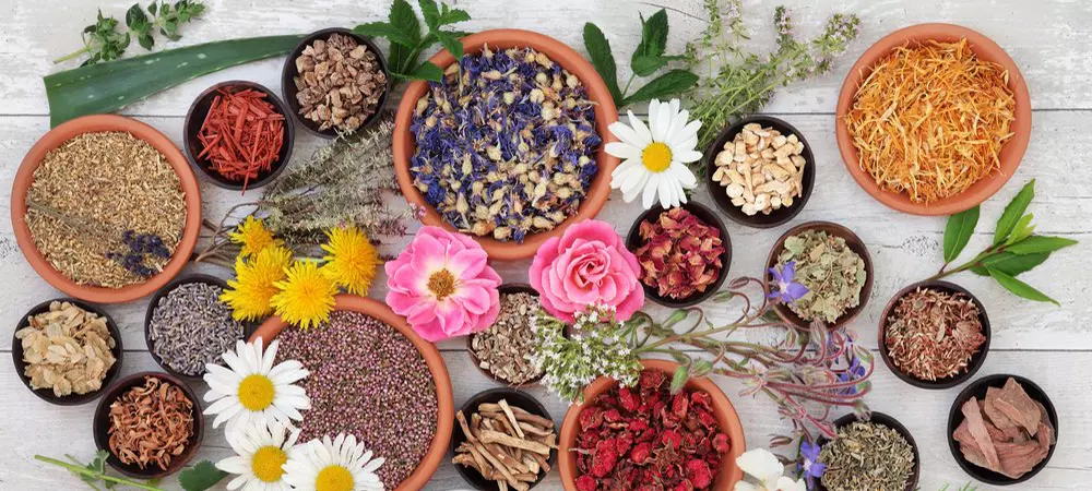 Claudio Asplanato | Naturopatia